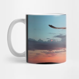 Evening Albatross Mug